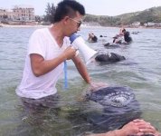 保鏢和保安有什么區(qū)別？